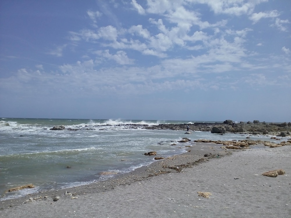 shabla little sea