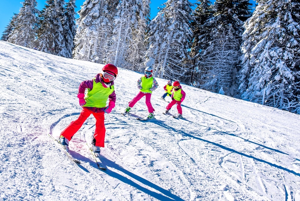 scoala de ski 